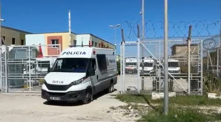  Kopsht zoologjik në burgun e sigurisë së lartë   Gazetari bën deklaratëne fortë  Luanë  pitbulla dhe arinj nëpër qeli  e suita që jepen me qira 