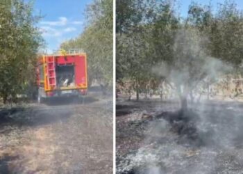 Vatër e madhe zjarri në Cërrik, Emergjencat apel banorëve: Kini kujdes, njoftoni menjëherë sapo të evidentoni vatra!