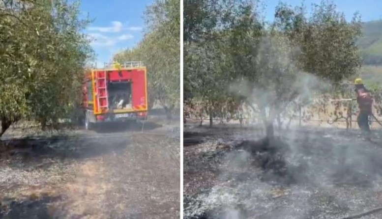 Vatër e madhe zjarri në Cërrik  Emergjencat apel banorëve  Kini kujdes  njoftoni menjëherë sapo të evidentoni vatra 