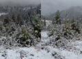 Ditë dimri, reshjet e para të dëborës zbardhin Bjeshkët e Tropojës!