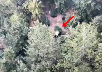 Droni ‘spiunon’ parcelën me drogë në mes të pyllit, arrestohet 37-vjeçari në Mirditë! U kap teksa vadiste hashashin