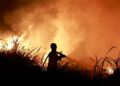 “Ferri El Niño” thyen rekordet, alarmi i shkencëtarëve: Do ketë ndikime të forta globale!