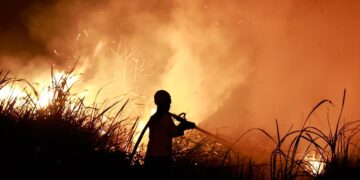 “Ferri El Niño” thyen rekordet, alarmi i shkencëtarëve: Do ketë ndikime të forta globale!