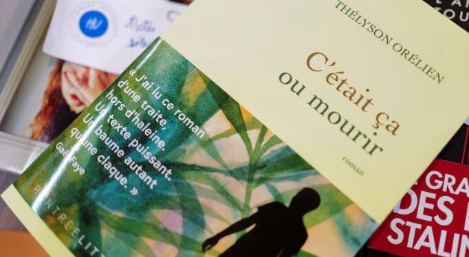 Autori akuzohet për përdorim të IA-së, çmimi prestigjioz francez "Goncourt" heq nga lista romanin -