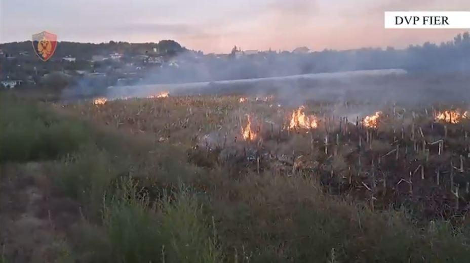 Ndezën zjarret në Fier  Arrestohen 2 persona të dyshuar  procedohen 2 të moshuar
