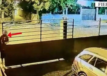 Ishin kthyer në tmerrin e plaçkitjes së banesave në Fier, arrestohen 3 ‘skifterët’! Akuzohen edhe për drogë, dyshohen si shpërndarës