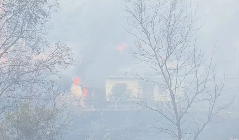 Situatë alarmante me flakët në Fier  banorët nisin evakuimin  Flet kreu i Emergjencave Civile  Çako  Zjarri ka marrë përmasa të jashtëzakonshme 