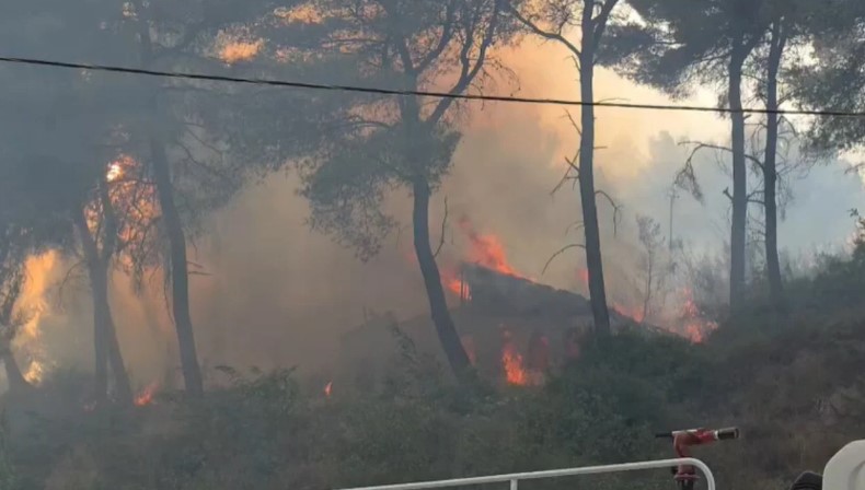 Situatë kritike nga zjarri në Fier dhe  Qafën e Koshovicës   flakët përfshijnë lokalin dhe 3 shtëpi të pabanuara  Nis ndërhyrja nga ajri  FOTO 