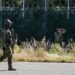 Finlanda përfundon gardhin 200 kilometra në kufirin me Rusinë: Duhet të jemi të përgatitur!
