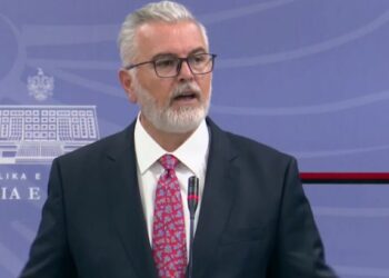 Nis evidentimi i dëmeve pas zjarreve, Gogu: Ditë të vështira për shumë komunitete