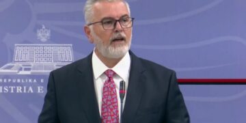 Nis evidentimi i dëmeve pas zjarreve, Gogu: Ditë të vështira për shumë komunitete