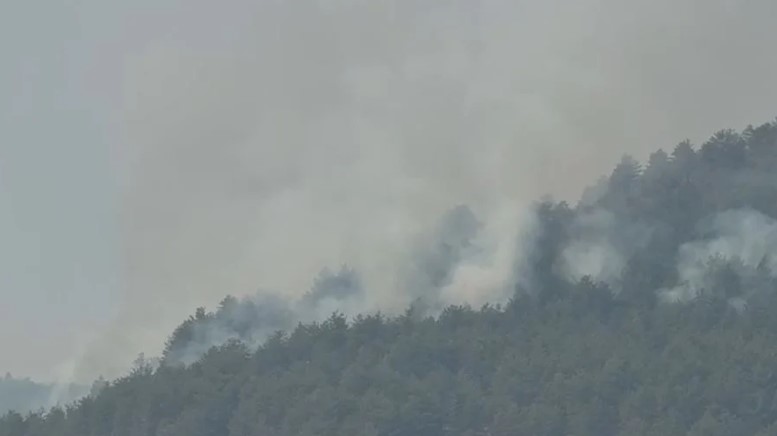 Lezhë  riaktivizohen vatrat e zjarrit në fshatin Kalivaç  nis ndërhyrja nga ajri me helikopter 