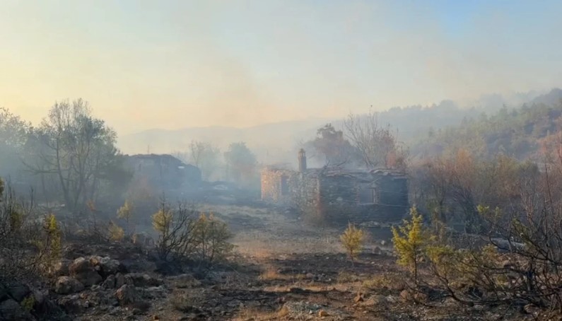 Zjarr i madh në pyjet e Lezhës  operacion nga ajri me dy helikopterë  Digjen disa banesa në Kashnjet  vendoset edhe perimetër sigurie