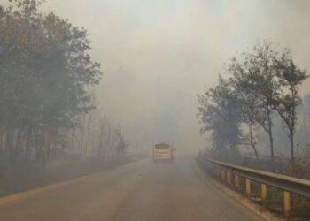 Zjarri masiv në “Qafën e Koshovicës”, retë e tymit toksik bllokojnë qarkullimin në aksin Fier-Levan! Një çift të moshuarish rrezikon jetën
