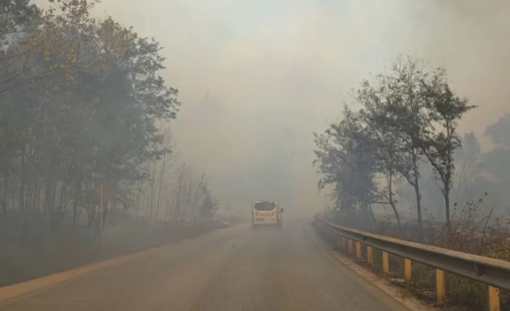 Zjarri masiv në  Qafën e Koshovicës   retë e tymit toksik bllokojnë qarkullimin në aksin Fier Levan  Një çift të moshuarish rrezikon jetën