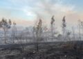 Zjarri në Levan del jashtë kontrollit, banorët dalin në rrugë nga paniku! Rrezikohen shtëpitë, luftë me flakët nga toka dhe ajri (VIDEO)