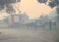 Situatë kritike nga zjarri në Fier dhe “Qafën e Koshovicës”, flakët përfshijnë lokalin dhe 3 shtëpi të pabanuara! Nis ndërhyrja nga ajri (VIDEO+FOTO)