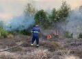 Zjarr i madh në pyjet e Matit, flakët përhapen me shpejtësi dhe djegin dhjetëra hektarë! Dyshohet për  zjarrvënie të qëllimshme