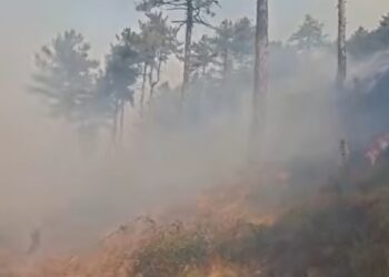 Rëndohet situata me zjarret në Ulëz, pritet evakuimi i banorëve të Madheshit! Flakët u afrohen shtëpive, era i favorizon