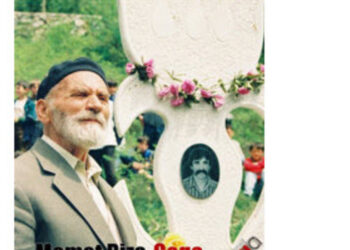 Mehmet Gega, modeli i qëndresës, unitetit dhe përgjegjësisë kombëtare