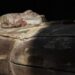 Zgjidhet misteri 3 mijë vjeçar i “mumjes që ulëret” në Egjiptin e lashtë -