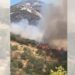 Dy vatra të tjera zjarri sot në Vlorë! Flakët përpijnë pyjet dhe bimësinë e Panajasë dhe Selenicës, aksion për shuarjen