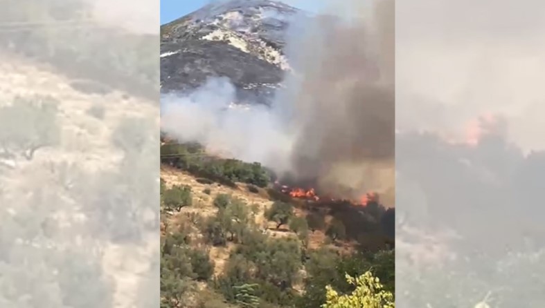 Dy vatra të tjera zjarri sot në Vlorë  Flakët përpijnë pyjet dhe bimësinë e Panajasë dhe Selenicës  aksion për shuarjen