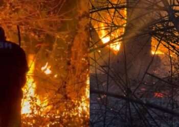 Vatër e rrezikshme zjarri edhe në Picar të Gjirokastrës, flakët ‘përpijnë’ zonën pyjore dhe i drejtohen banesave të fshatit!