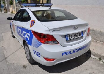 Shkodër/ Përshtatën dy banesa për kultivimin e drogës, arrestohen 2 persona