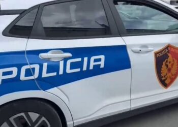 Dhunohet dhe grabitet 70-vjeçarja në banesë, autori dyshohet se e goditi me sëpatë