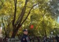 VIDEO/ Protesta te Kuvendit, policia rrethon të gjitha rrugët që të çojnë në Parlament, arrestohen disa persona!