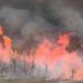 Vatër zjarri edhe në Qinam të Tiranës, flakët pranë depos së lëndëve plasëse, aksion për shmangien e pasojave!