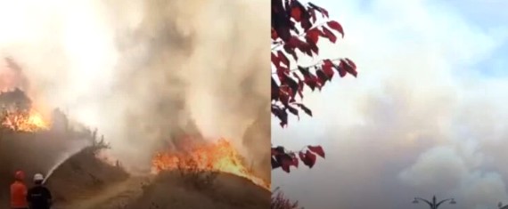 Vatër e madhe zjarri edhe në Radostinë  flakët përfshijnë pyllin me pisha  Era i favorizon  rrezikohen dhe dy lokale