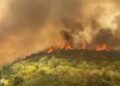 Situatë alarmante nga zjarri në Radostinë, flakët i afrohen shtëpive, nis dhe evakuimi i banorëve! Kërkohet ndërhyrje nga ajri (FOTO)