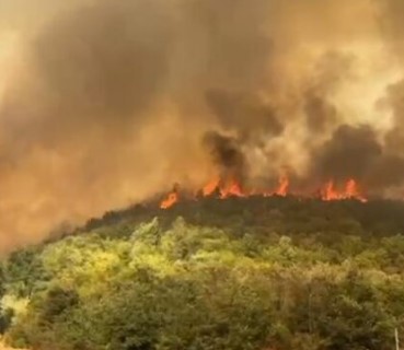 Situatë alarmante nga zjarri në Radostinë  flakët i afrohen shtëpive  nis dhe evakuimi i banorëve  Kërkohet ndërhyrje nga ajri  FOTO 