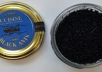 Restoranti me dy yje “Michelin” shërbeu sorbet me milingona të zeza, pronarja dënohet me 11 mijë dollarë gjobë