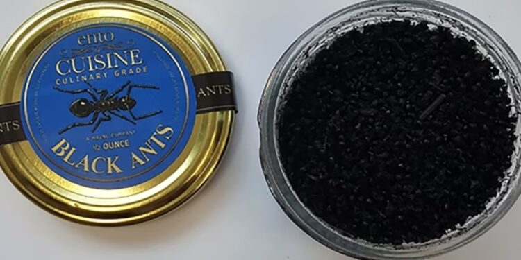 Restoranti me dy yje “Michelin” shërbeu sorbet me milingona të zeza, pronarja dënohet me 11 mijë dollarë gjobë