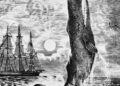 Si një kashalot fundosi Essex-in: teoria e vjetër që lidhet me tragjedinë detare dhe “Moby Dick