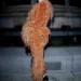 FOTO/ Nga eleganca klasike te guximi në stil, yjet që morën vëmendjen në Javën e Modës në Paris