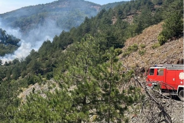 Zjarret në Shkodër  disa vatra vijojnë aktive  Nën kontroll vatra në Bërdicë