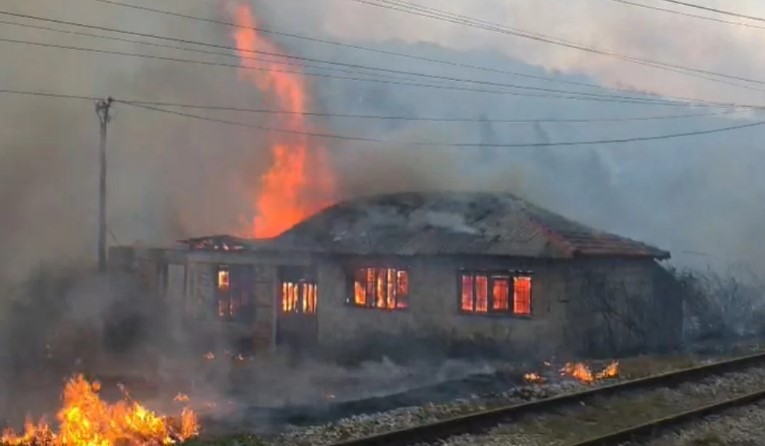 Situatë kritike nga zjarri në Fier dhe “Qafën e Koshovicës”, flakët përfshijnë lokalin dhe 3 shtëpi të pabanuara! Nis ndërhyrja nga ajri (VIDEO+FOTO)