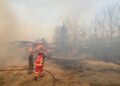 Zjarri shkrumbon stallën e bagëtive në Levan, digjen makineritë bujqësore, shpëtohet gjëja e gjallë!