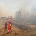 Zjarri shkrumbon stallën e bagëtive në Levan, digjen makineritë bujqësore, shpëtohet gjëja e gjallë!