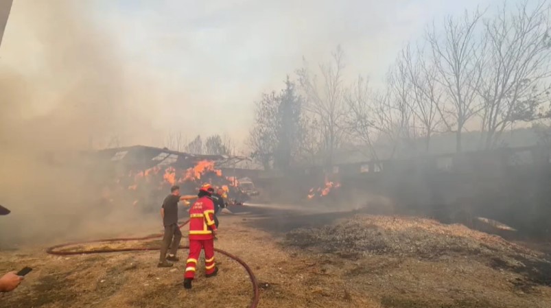 Zjarri shkrumbon stallën e bagëtive në Levan  digjen makineritë bujqësore  shpëtohet gjëja e gjallë 
