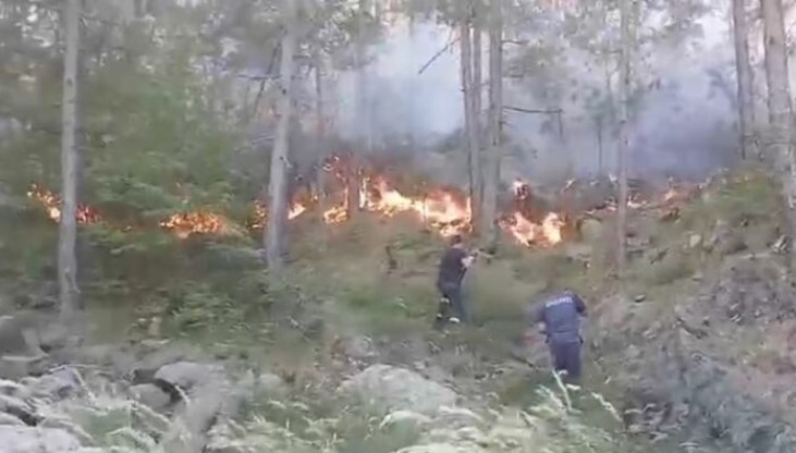Zjarri në Tërbun s ka të ndalur  flakët përparojnë dhe rrezikojnë banesat e stacionin e ujit  Operacion nga toka dhe ajri për shuarjen