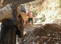 Bashkëpunim bërthamor dhe furnizim me minerale, SHBA dhe Kolumbia nënshkruajnë dy marrëveshje strategjike -