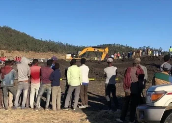 Familjet e 32 kenianëve të vrarë nga rrëzimi i avionit në Etiopi do të marrin 87.3 mln dollarë -