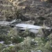 Incidenti me dron në Leipzig, Rusia akuzon Gjermaninë: Ata duan përsëri luftë