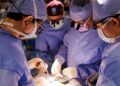 Veshka e transplantuar e derrit funksionoi te njeriu për një rekord prej 271 ditësh -