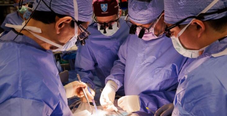 Veshka e transplantuar e derrit funksionoi te njeriu për një rekord prej 271 ditësh -
